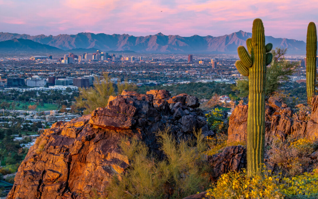 2026 EFA Conference Preview: Sights To See And Things To Do In Phoenix